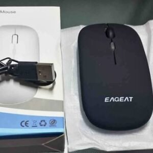 Souris Sans fil rechargeable